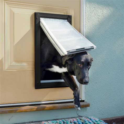 where to buy doggie doors